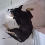 Nera Santoscoy